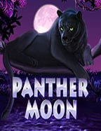 วิธีสมัครสล็อตโรม่าแบบง่าย สไตล์คนไทย 555